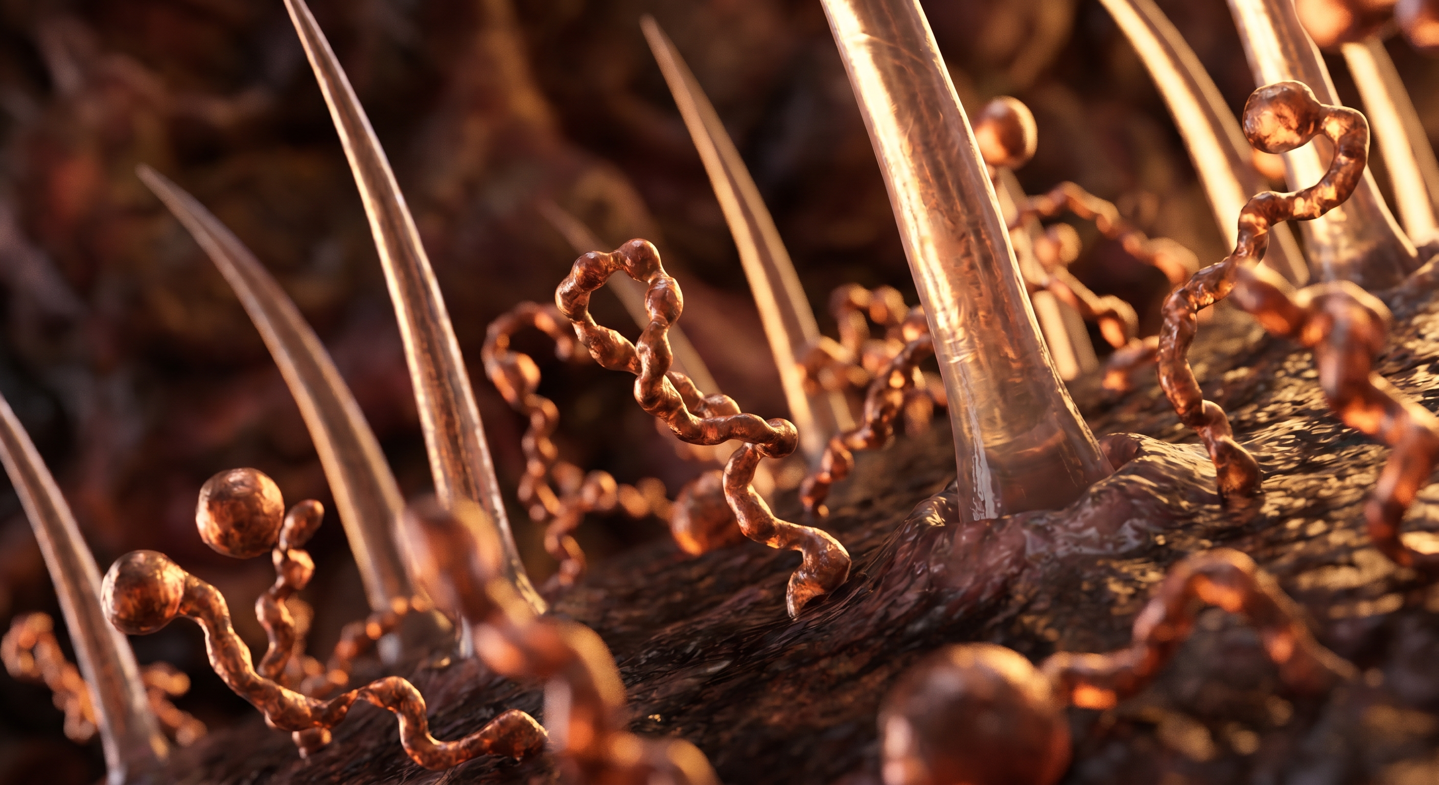 minoxidil vs ghk cu GHK-Cu vs Minoxidil: The Copper Peptide That Outperformed the #1 Hair Loss  Treatment | PeptIQ Blog